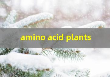  amino acid plants
